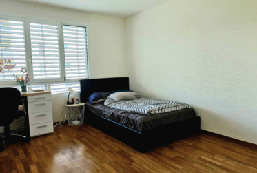 confortable 3.5 pièces moderne dans quartier prisé