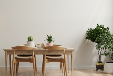 Appartement neuf avec jardin