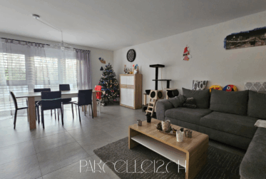 immeuble de 3 grands appartements et 1 studio - rénové