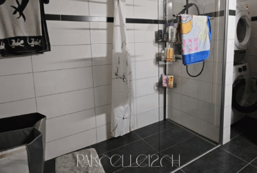 immeuble de 3 grands appartements et 1 studio - rénové