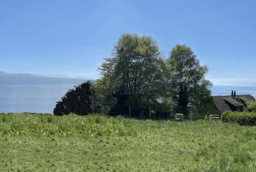 propriété d'exception - nouvelle construction