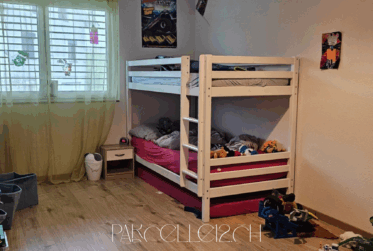 immeuble de 3 grands appartements et 1 studio - rénové