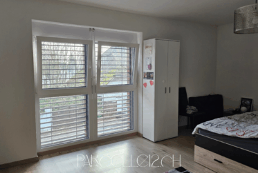 immeuble de 3 grands appartements et 1 studio - rénové